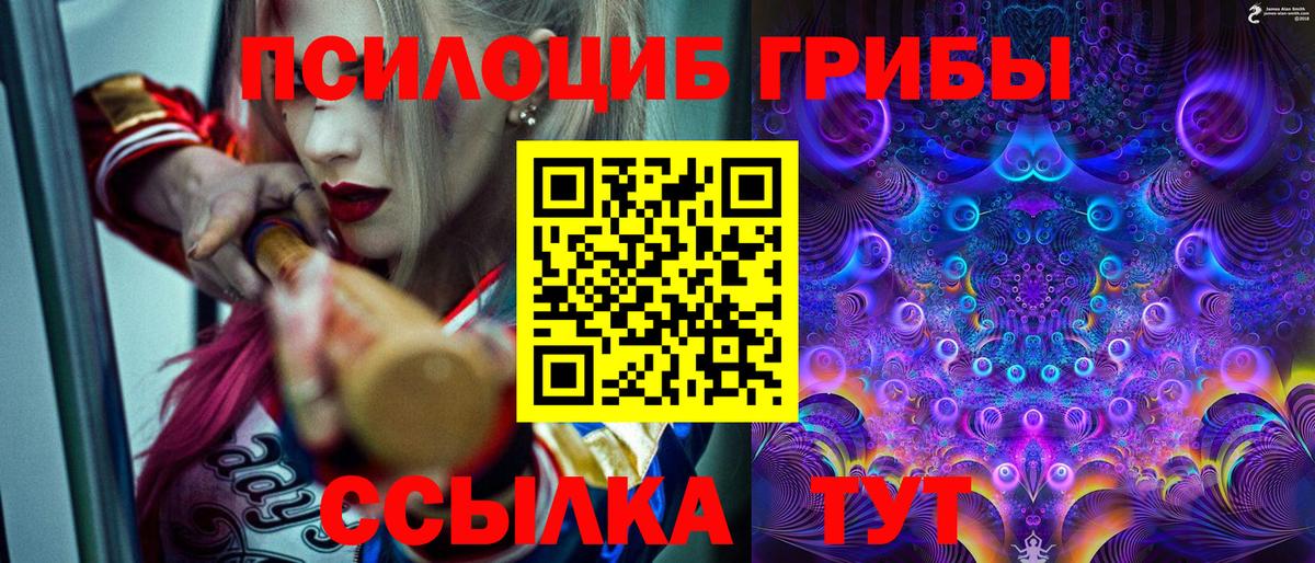 Псилоцибиновые грибы мицелий Богородск